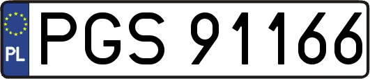 PGS91166