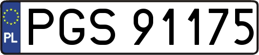 PGS91175