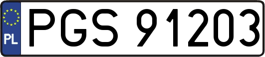 PGS91203
