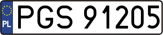 PGS91205