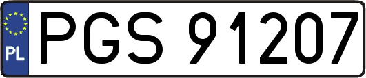 PGS91207