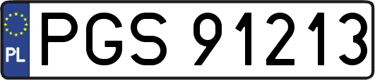 PGS91213