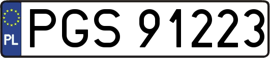 PGS91223