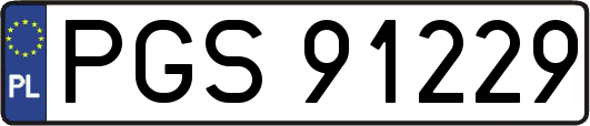PGS91229