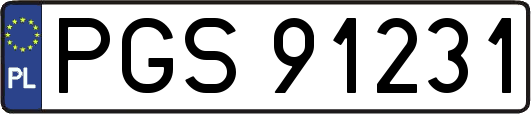 PGS91231