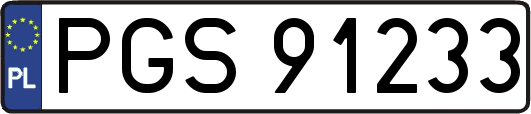 PGS91233