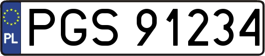 PGS91234