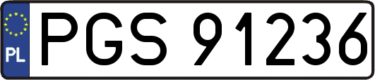 PGS91236