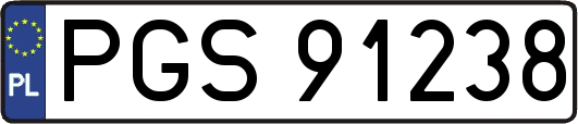 PGS91238