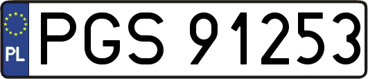 PGS91253