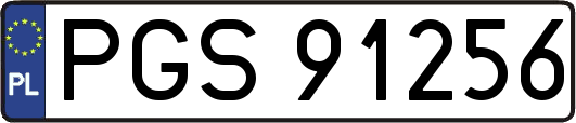 PGS91256