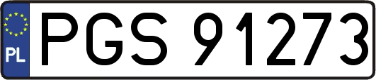 PGS91273
