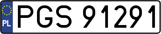 PGS91291