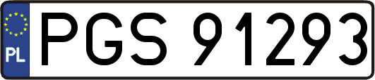 PGS91293