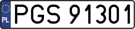 PGS91301