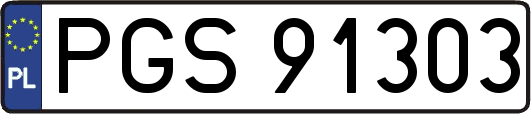 PGS91303