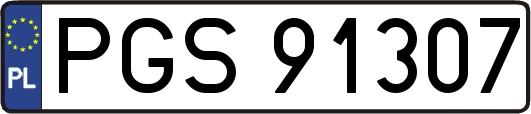 PGS91307