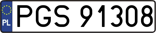 PGS91308