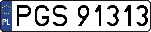 PGS91313