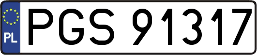 PGS91317
