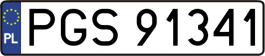 PGS91341