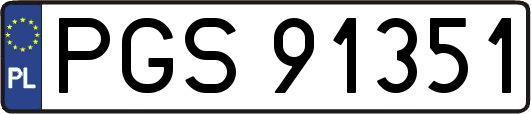 PGS91351