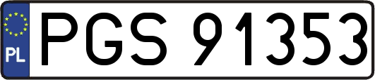 PGS91353