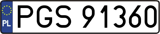 PGS91360