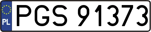 PGS91373