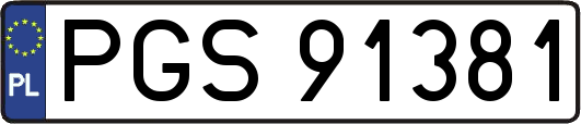 PGS91381