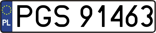 PGS91463