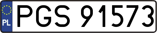 PGS91573