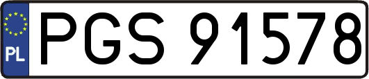 PGS91578