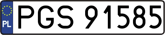 PGS91585