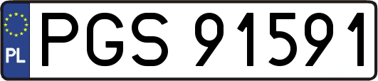 PGS91591