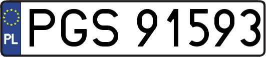 PGS91593