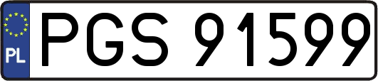 PGS91599