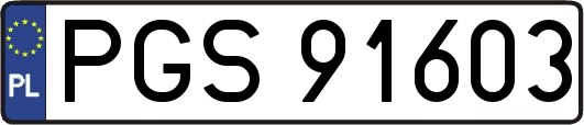PGS91603