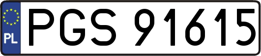 PGS91615