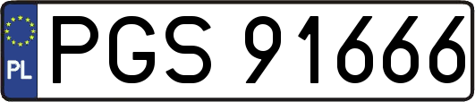 PGS91666