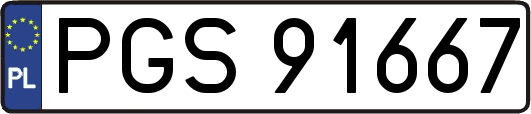 PGS91667