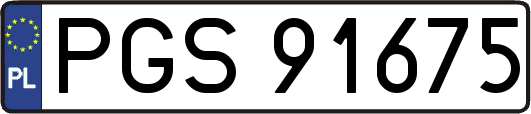 PGS91675