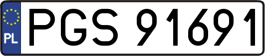 PGS91691