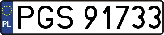PGS91733