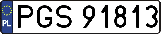 PGS91813