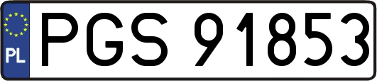 PGS91853
