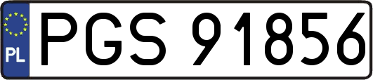 PGS91856