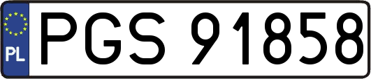 PGS91858