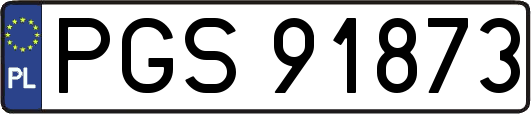 PGS91873