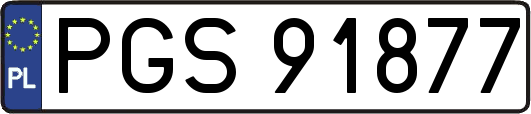 PGS91877
